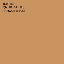 #C99460 - Antique Brass Color Image